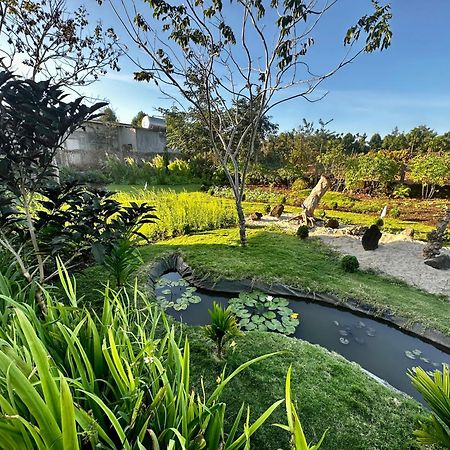 Dugiang Homestay บวนมาถวต ภายนอก รูปภาพ