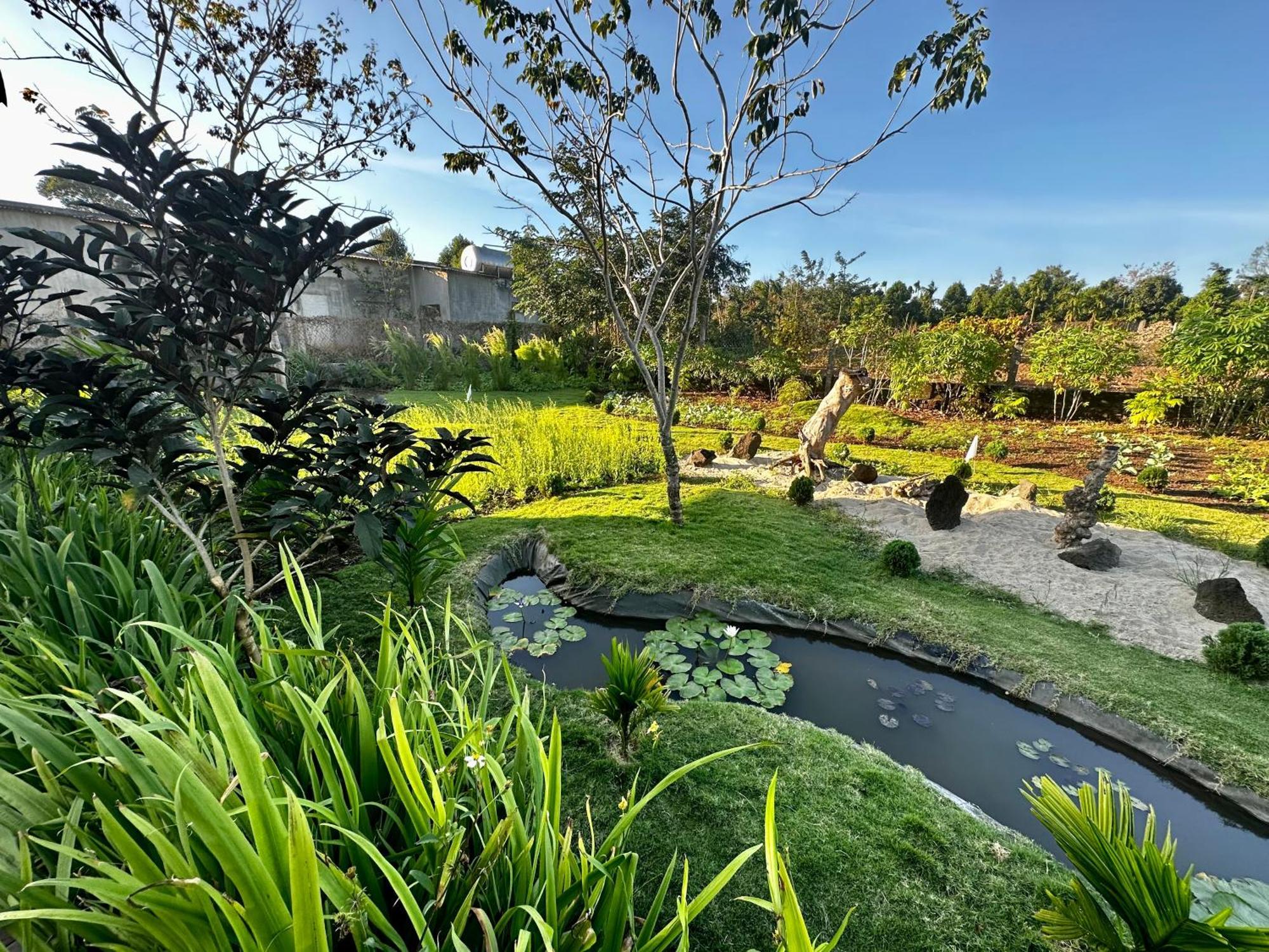 Dugiang Homestay บวนมาถวต ภายนอก รูปภาพ